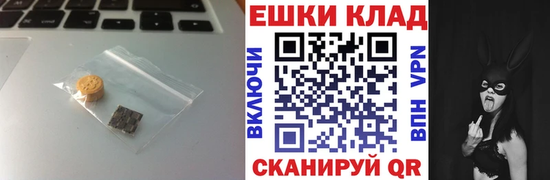 Ecstasy Philipp Plein  что такое   Благодарный 