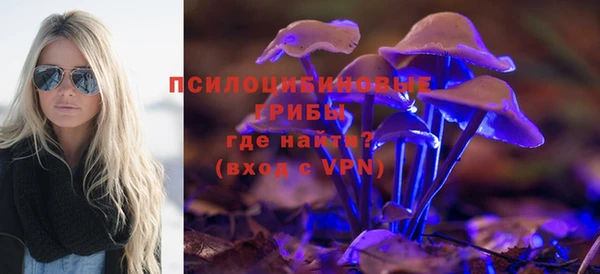 MDMA Медвежьегорск