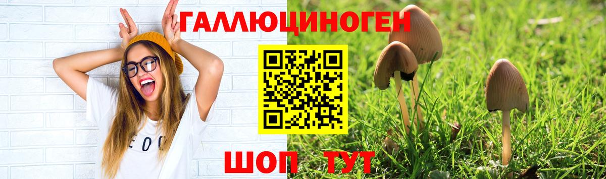 как найти закладки  Галлюциногенные грибы Psilocybine cubensis  Вход с VPN  Благодарный 