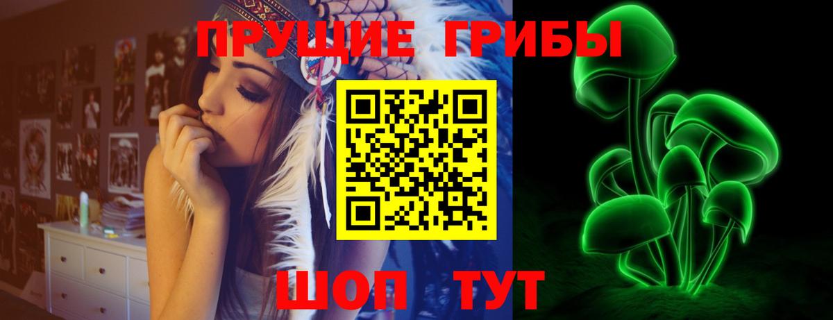Галлюциногенные грибы ЛСД  где найти   Благодарный 