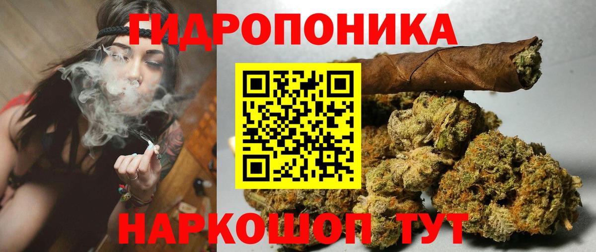 Каннабис THC 21%  Благодарный  Марихуана семена 